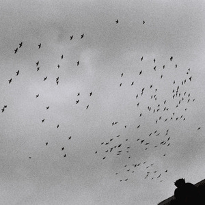 日本人屁股眼交
